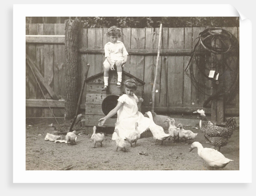 Marba and Eckart Titzenthaler, children of the photographer, standing on a farm with chickens and geese by Waldemar Titzenthaler