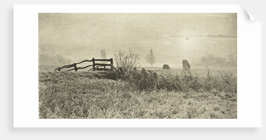 Meadow Landscape by Peter Henry Emerson