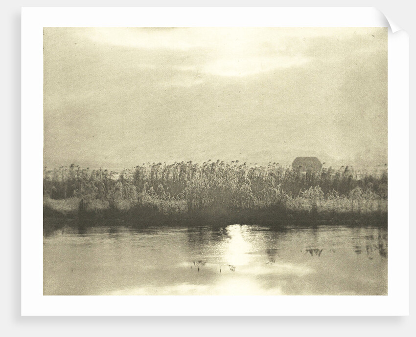 Water with cornfield by Peter Henry Emerson