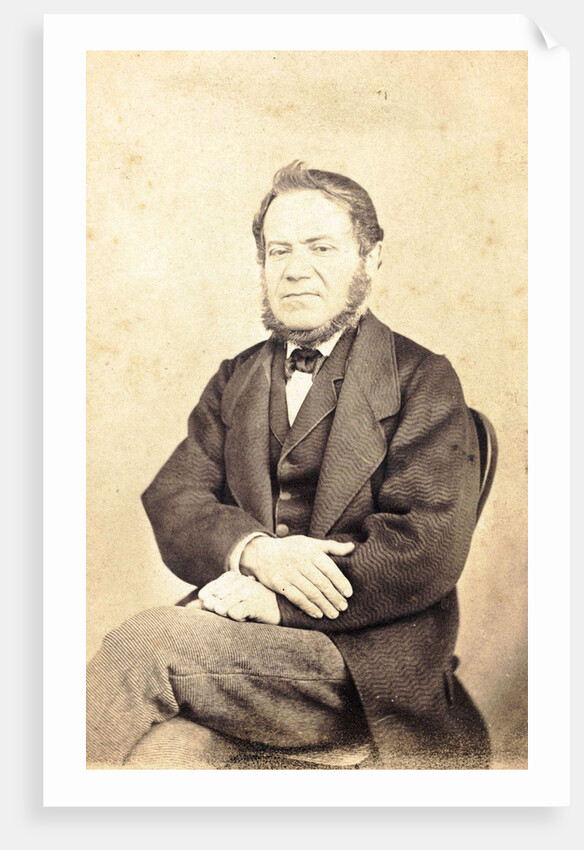 Portrait of a Man by Anonymous