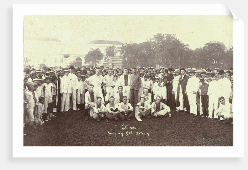Oliveo Champion Batavia 1905, Indonesia by Busenbender & Co.