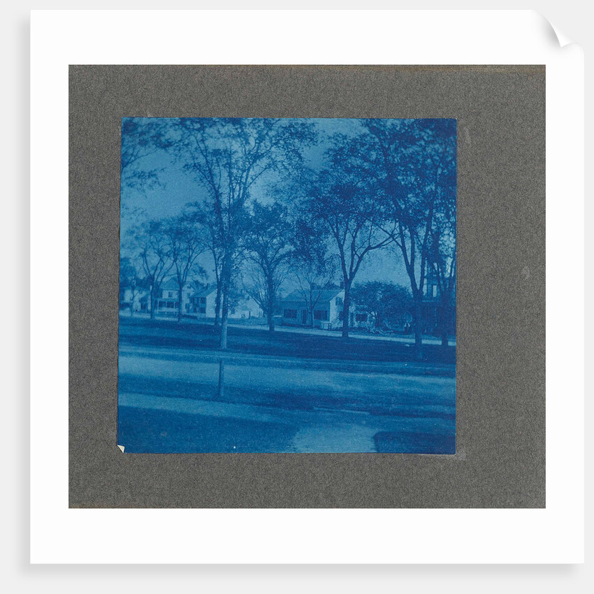 Wooden houses with trees, USA by Anonymous