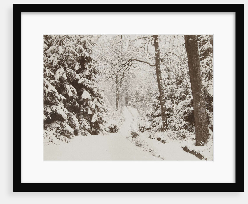 snowy forest by Henry Pauw van Wieldrecht