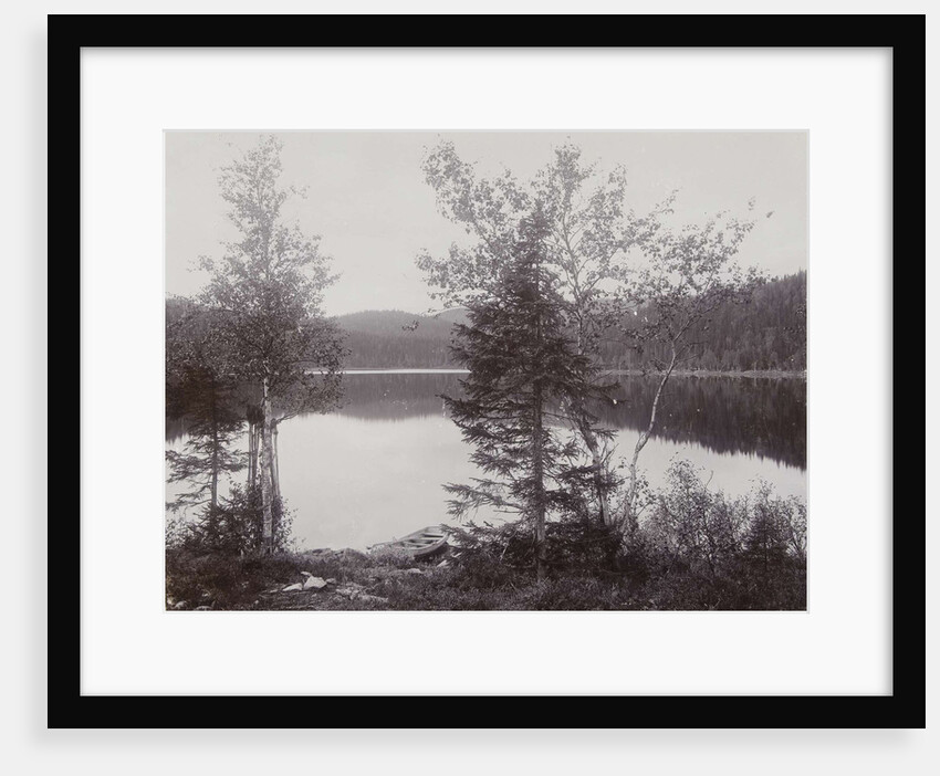 Trees Lakeside (Norway?) by Henry Pauw van Wieldrecht