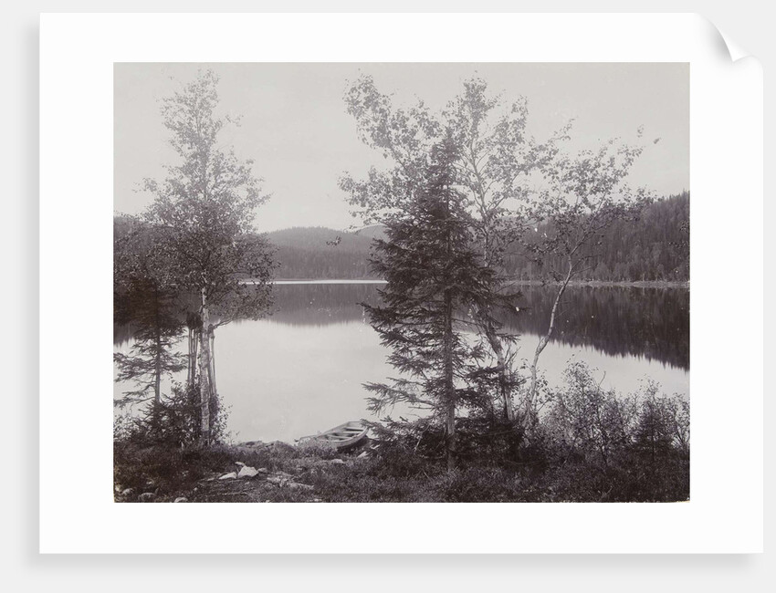 Trees Lakeside (Norway?) by Henry Pauw van Wieldrecht