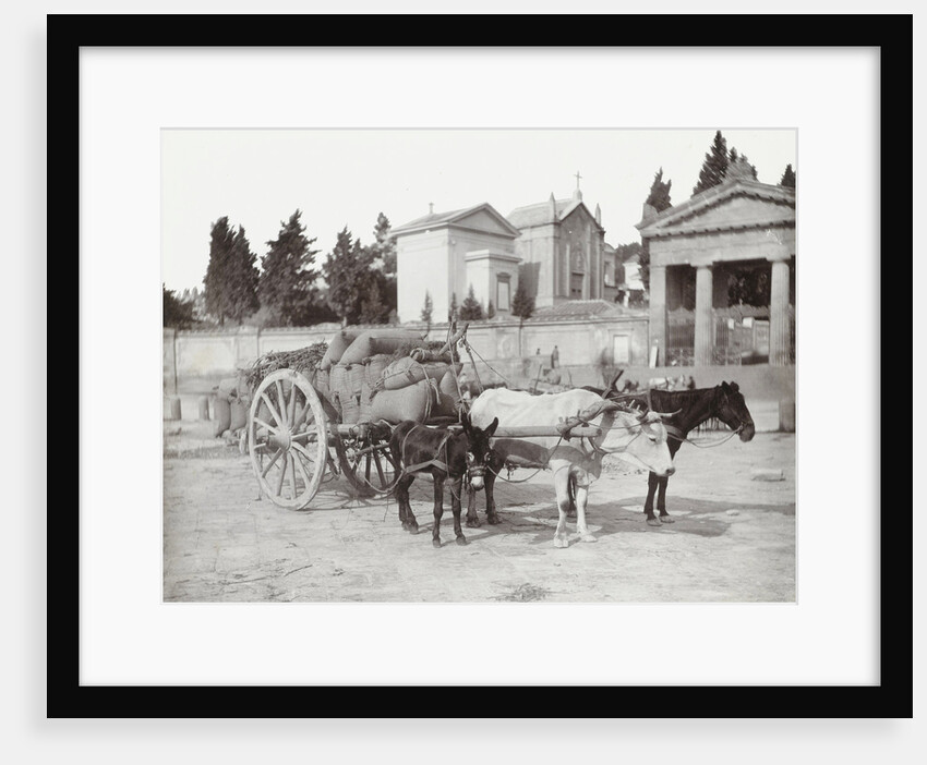 Napoli costume, Naples Italy by Giorgio Sommer