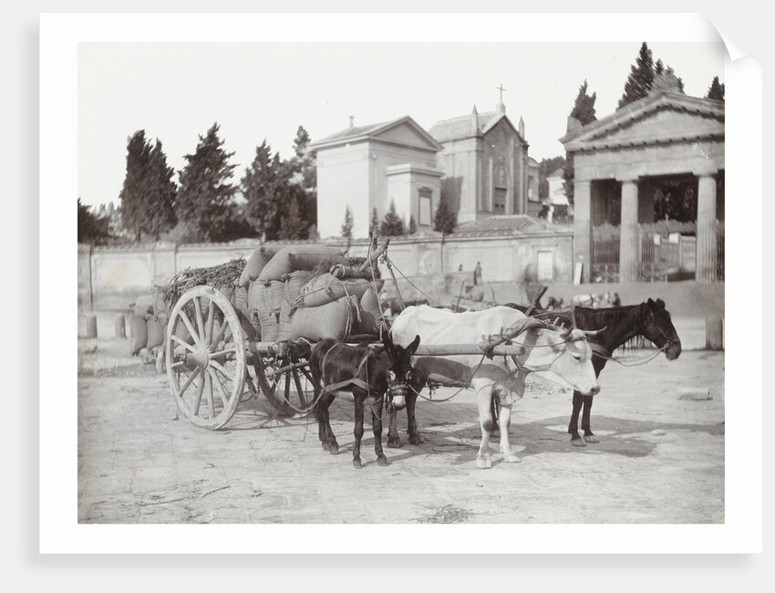 Napoli costume, Naples Italy by Giorgio Sommer