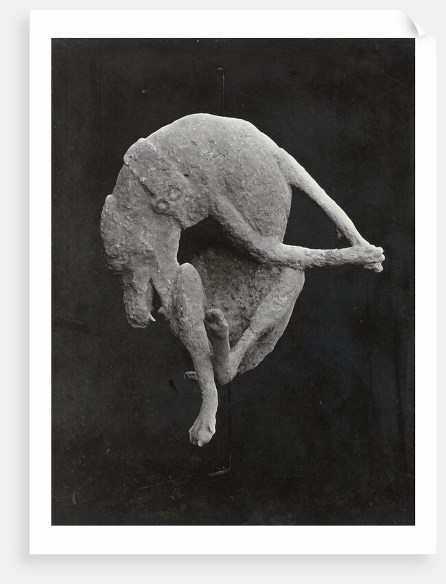 Pompeii impronte, Italy by Giorgio Sommer