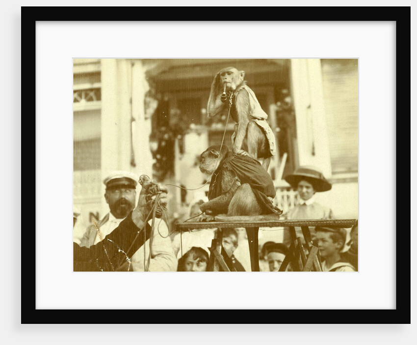 Two monkeys with spectators by Anonymous