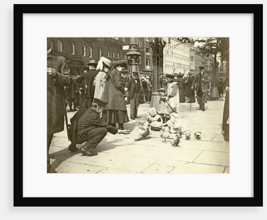 Pigeons enter a town by Anonymous