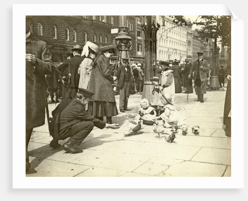 Pigeons enter a town by Anonymous