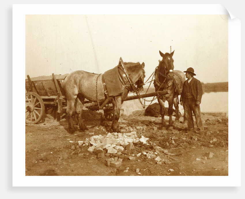 Two horses, a cart and a man in a trench by Anonymous