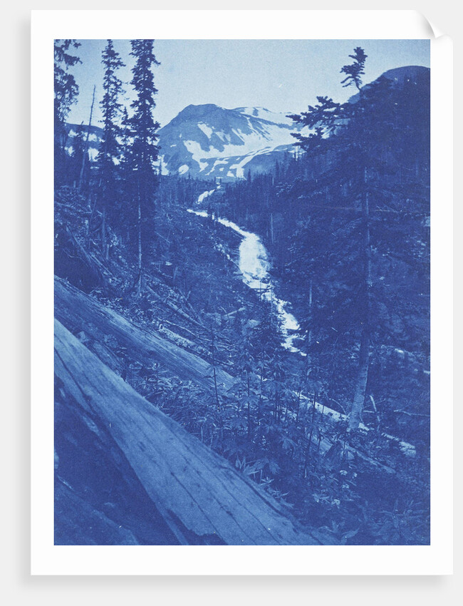 Christmas Greeting, view in Emogen ? Creek, Colorado, USA by Gillander