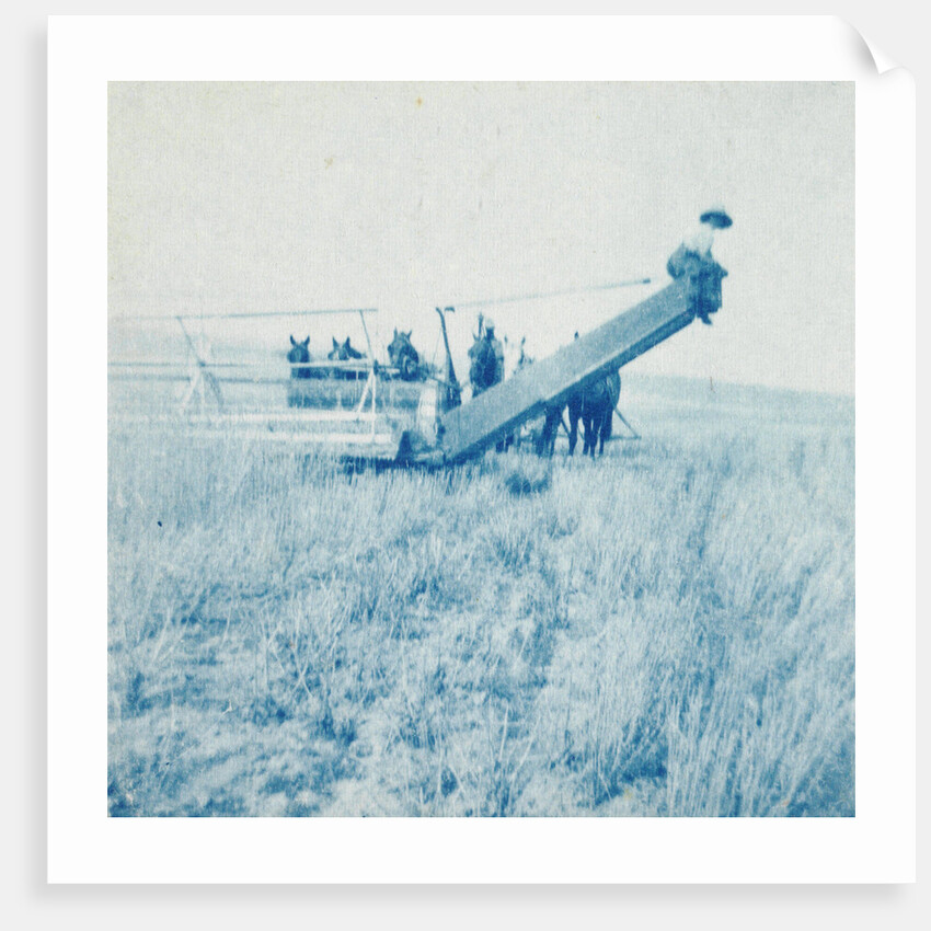 Farmers in a combine harvester, waiting laadkar by Anonymous