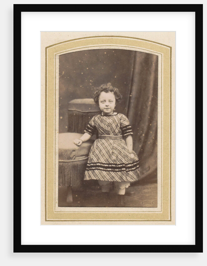 Photo album of a Dutch family with 168 cartes-de-visite and cabinet pictures by R. Becher