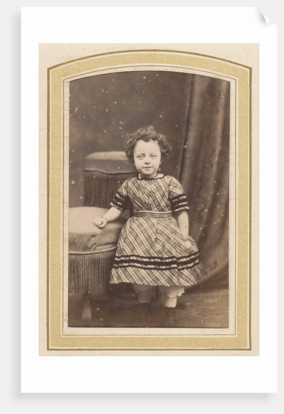 Photo album of a Dutch family with 168 cartes-de-visite and cabinet pictures by R. Becher
