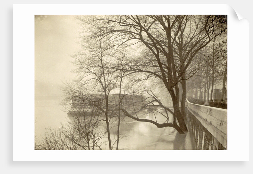 Flooded Seine River with trees, boats and public during flooding of Paris, France by Anonymous