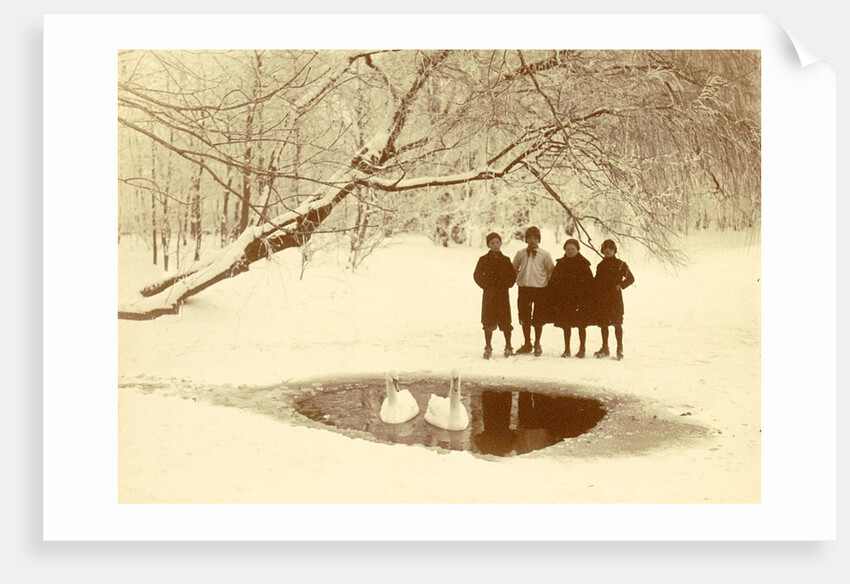 Children with swans in a hole by Anonymous