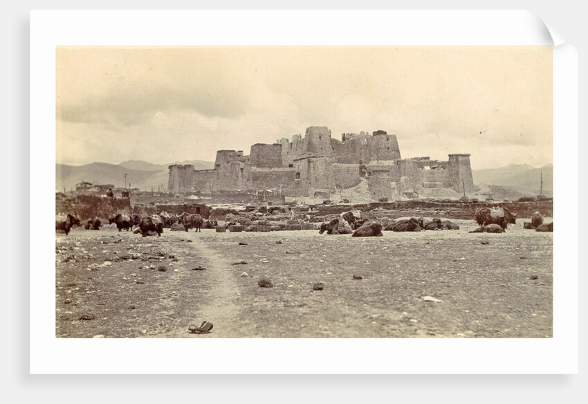 DT Dalton through Tibet by D.T. Dalton