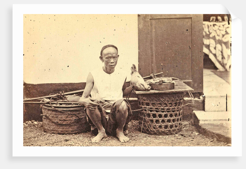 Portrait of an Indian butcher with pig's head, Woodbury & Page, Walter Bentley Woodbury by James Page