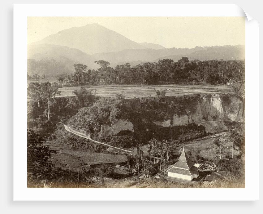 Panorama of a mountain landscape with rice fields in the Dutch East Indies by Anonymous