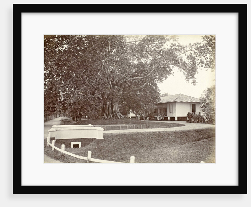 Driveway to a villa in the Dutch East Indies by Anonymous