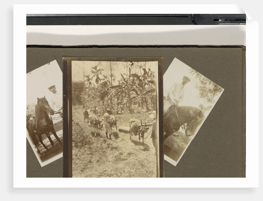 leper colony Dana Raja: people on horseback and harvest by Anonymous