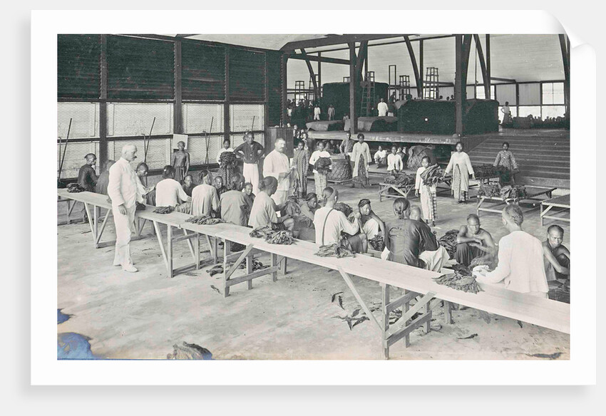 Sumatra, Mariendal old parlor of tobacco, Indonesia by Anonymous