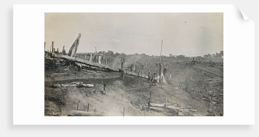 Sumatra, logging of old-growth forest, Indonesia by Anonymous