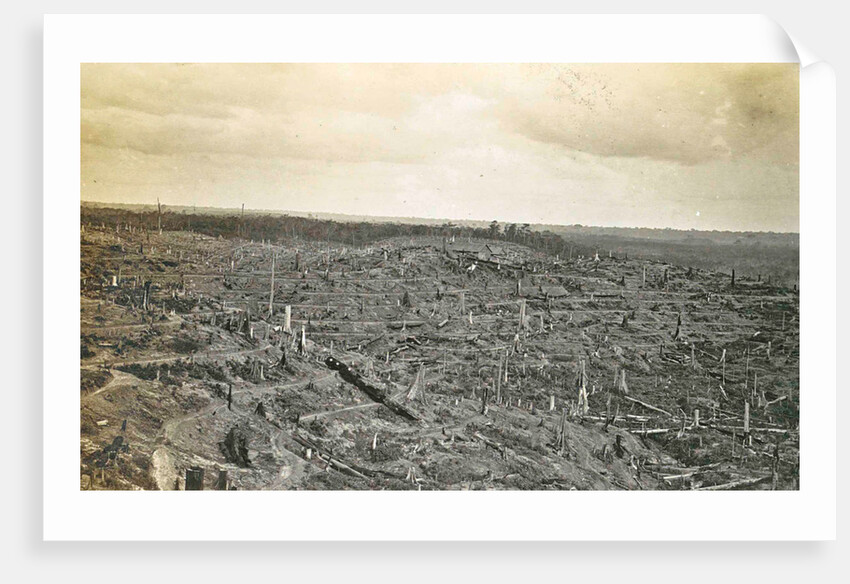 Sumatra indonesia, rubber kebon in construction (Soengai Tassik) by Anonymous