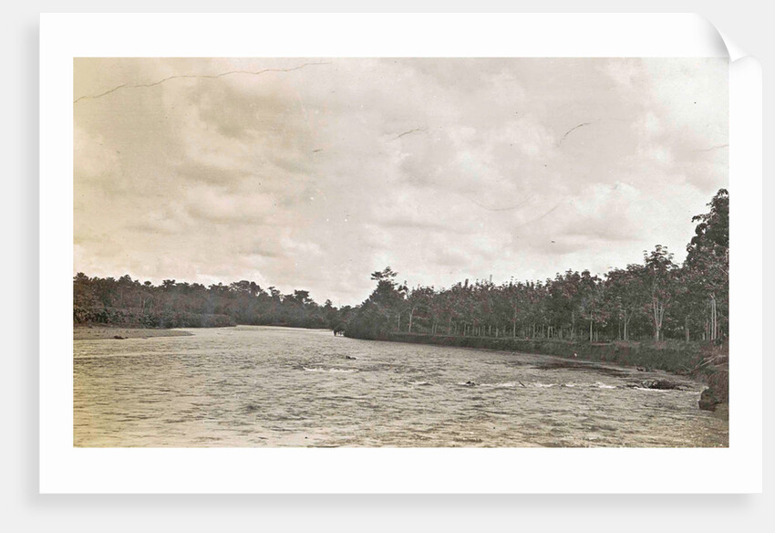 Sumatra, Soengai Serangang River, Indonesia by Anonymous