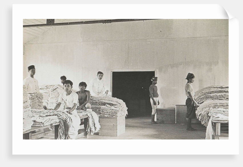 Sumatra indonesia natives sort the rubber in barn by Anonymous