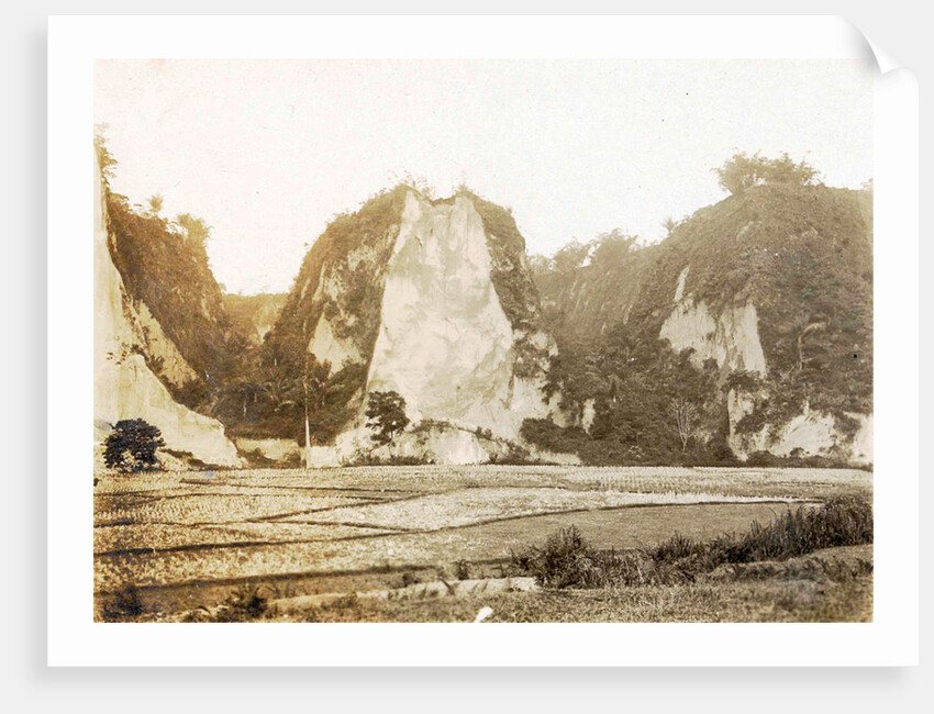 Sumatra indonesia fields Karbouwengat by Anonymous