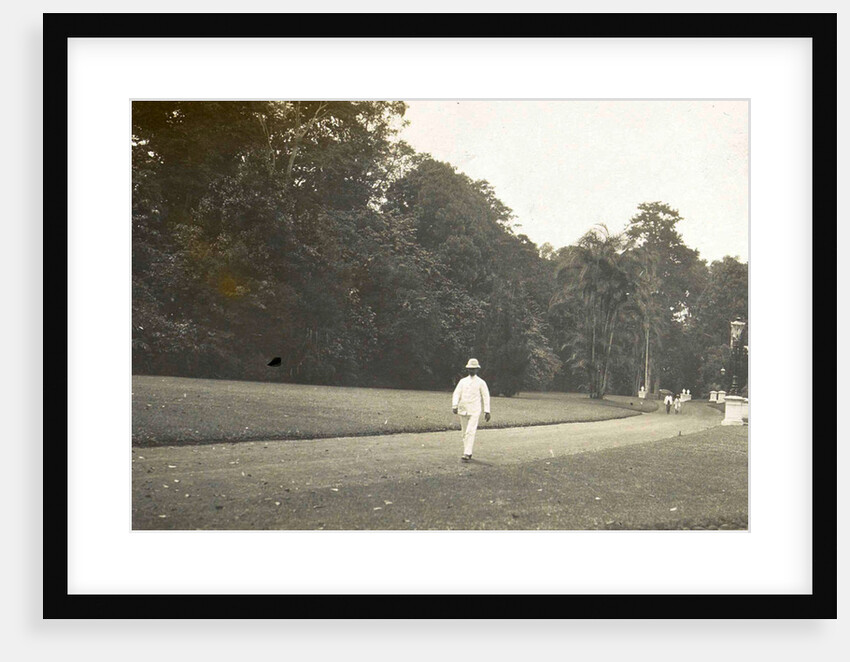 Buitenzorg, Indonesia, the botanical garden by Anonymous