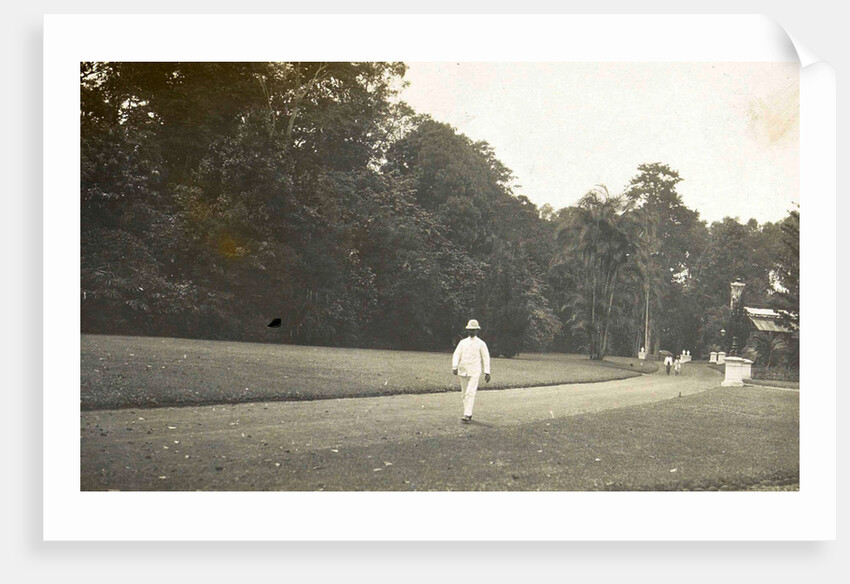 Buitenzorg, Indonesia, the botanical garden by Anonymous