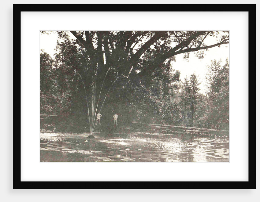 Buitenzorg, Indonesia, the botanical garden by Anonymous