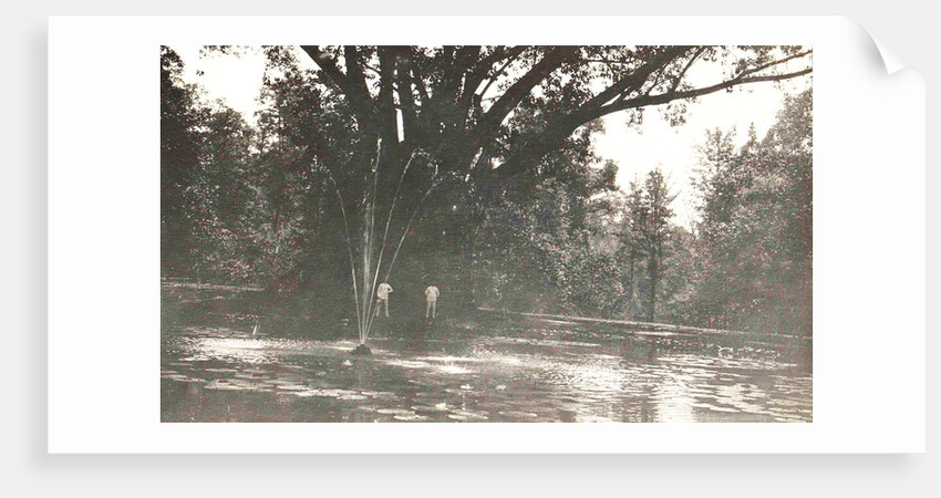 Buitenzorg, Indonesia, the botanical garden by Anonymous