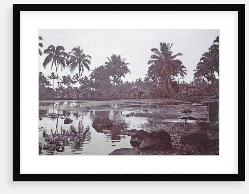 Java, Indonesia Tjipanas in Garut, with more trees and huts by Anonymous