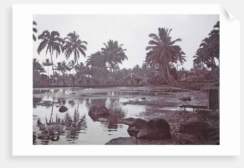 Java, Indonesia Tjipanas in Garut, with more trees and huts by Anonymous