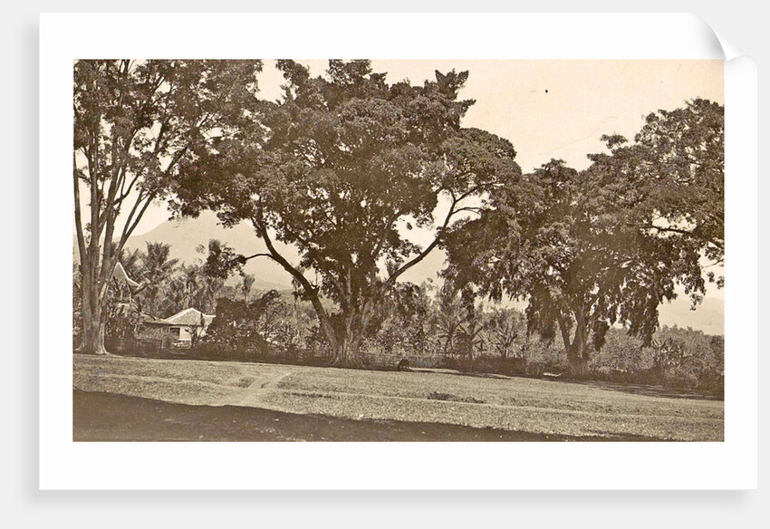 Java, Indonesia aloon-aloon the dessa Tjiseroepan by Anonymous