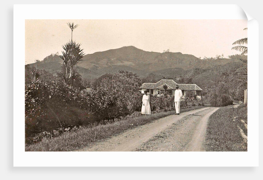 Java, Indonesia tea company Pamegatan in Garut by Anonymous