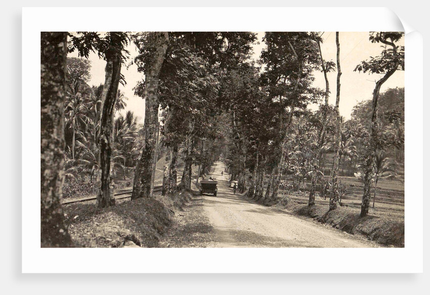 Road between Bander-Negara and Ninisvbo by Anonymous