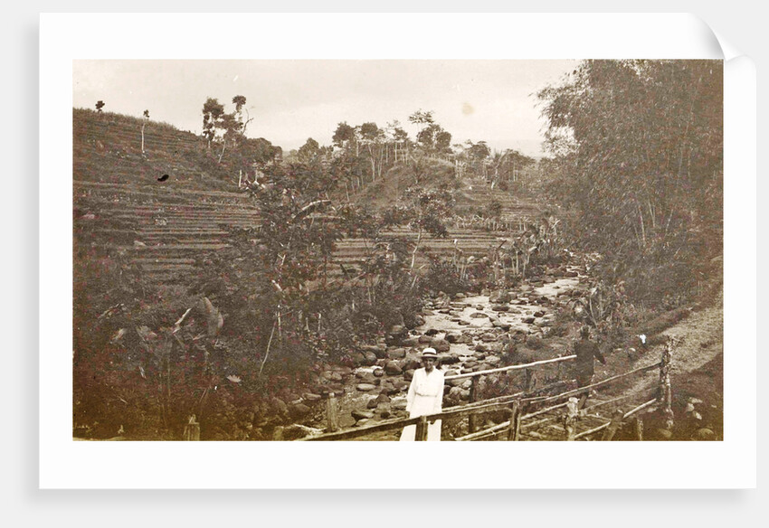 Java, Indonesia Ninisvbo with paddy fields and river by Anonymous