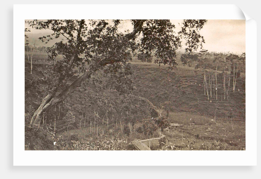 Java, Indonesia Ninisvbo with panorama by Anonymous