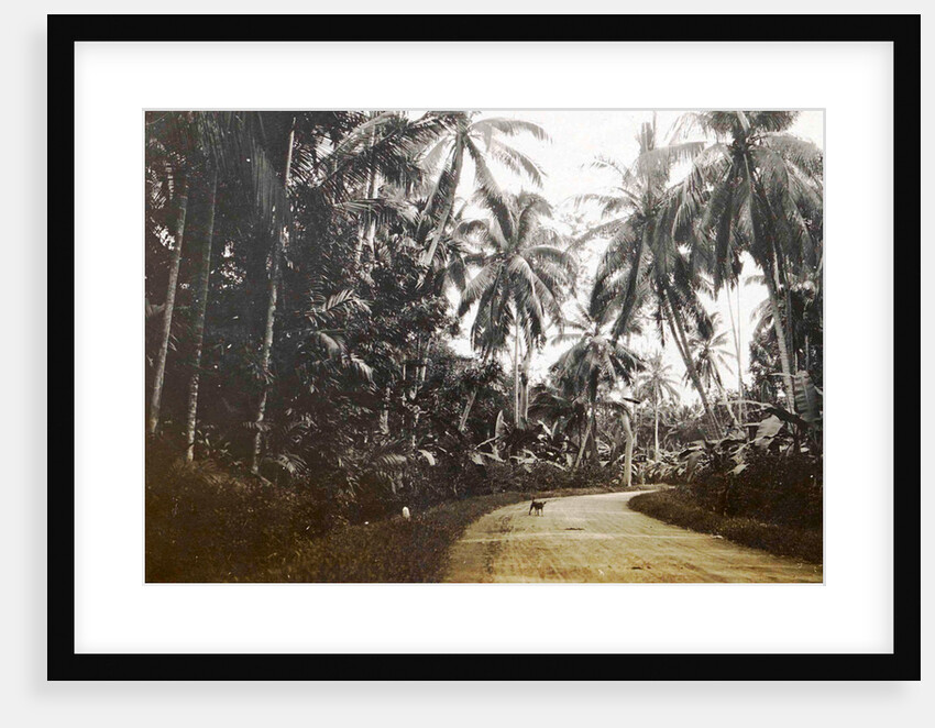 Java, Indonesia, away from Medan to Belawan by Anonymous