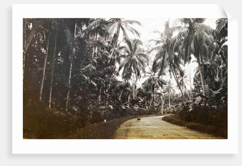 Java, Indonesia, away from Medan to Belawan by Anonymous