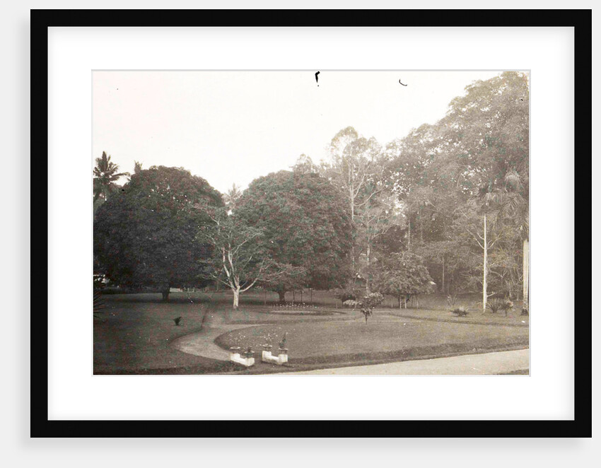 Dutch East Indies, indonesia, Namoe - Trassi garden path by Anonymous