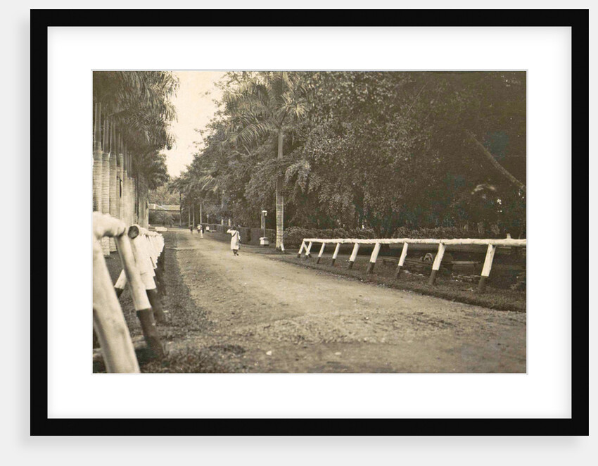 Dutch East Indies, indonesia, driveway Helvetia (Deli Mij) by Anonymous