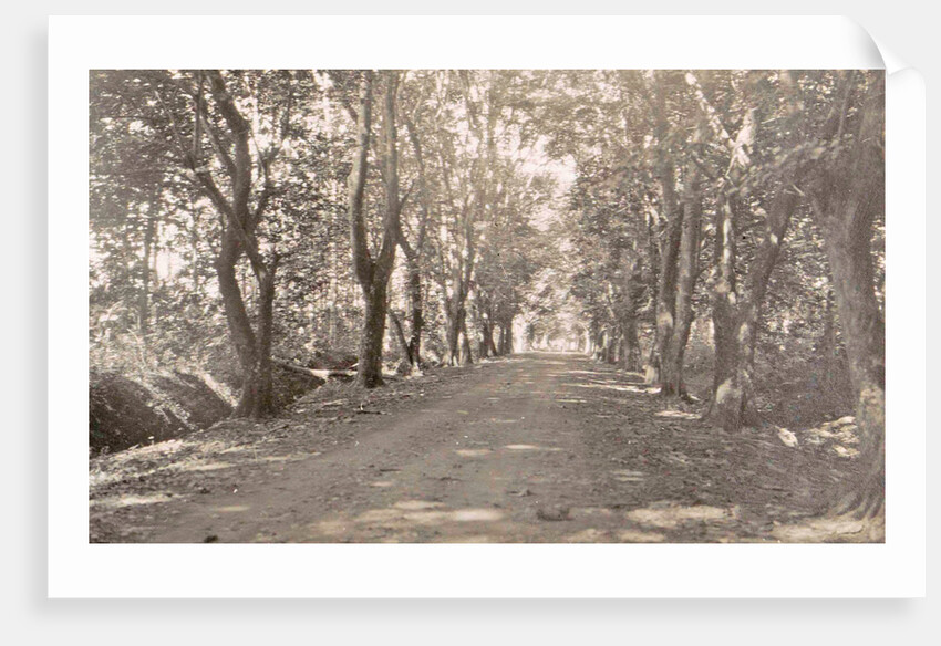 Sumatra indonesia, Medan and Amplas avenue, Indonesia by Anonymous