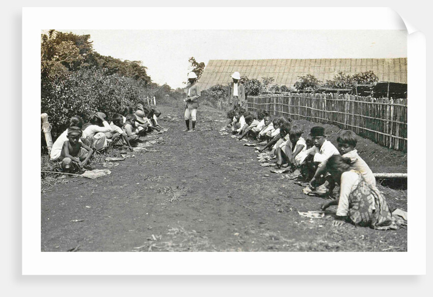 Sumatra indonesia, caterpillars seeking children under supervision by Anonymous